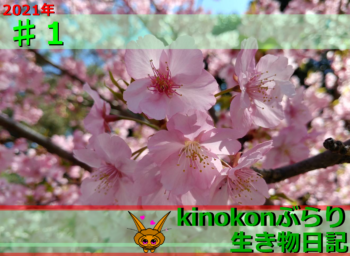 Thumbnail of post image 123